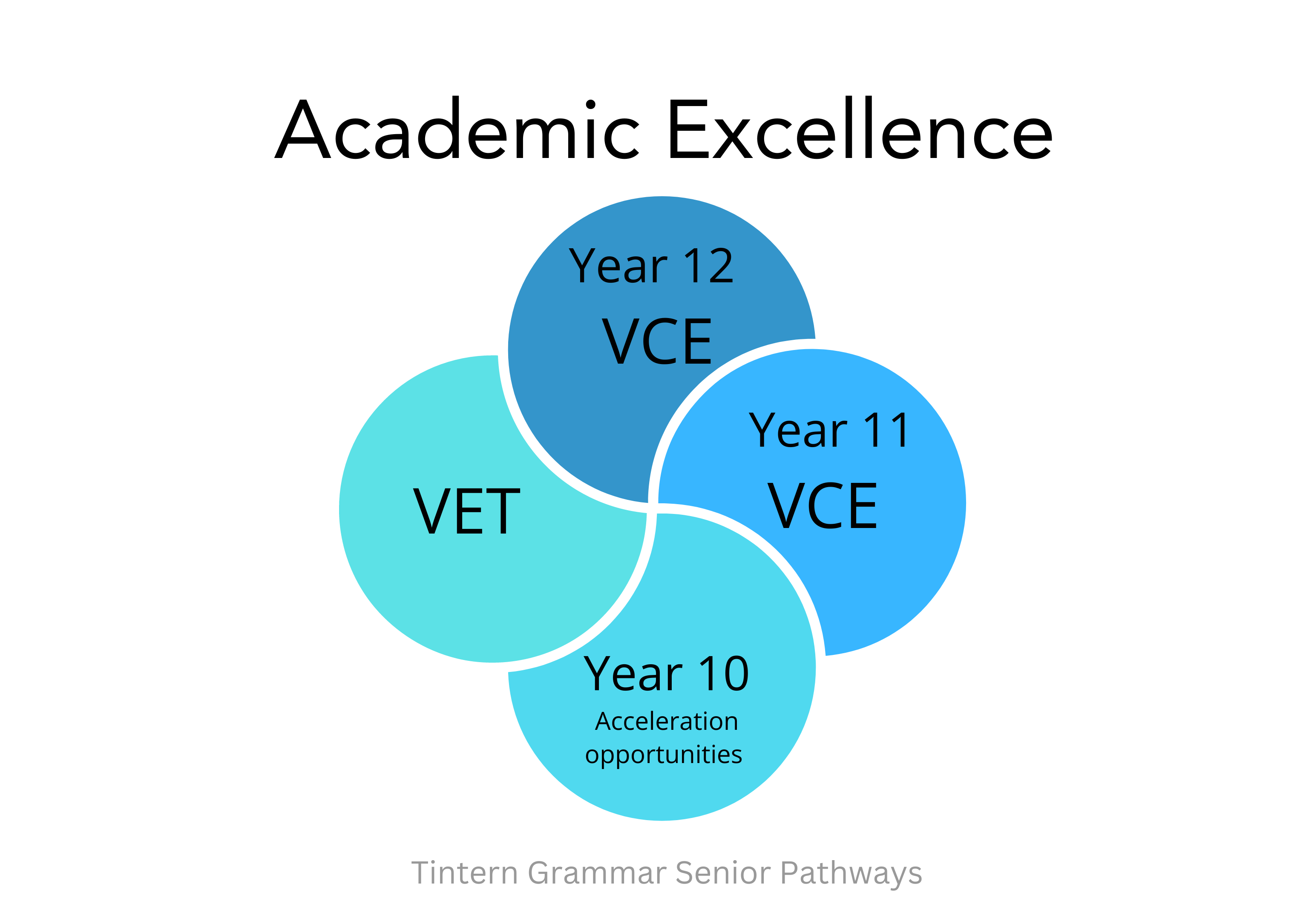 Senior Pathways 3 graphic